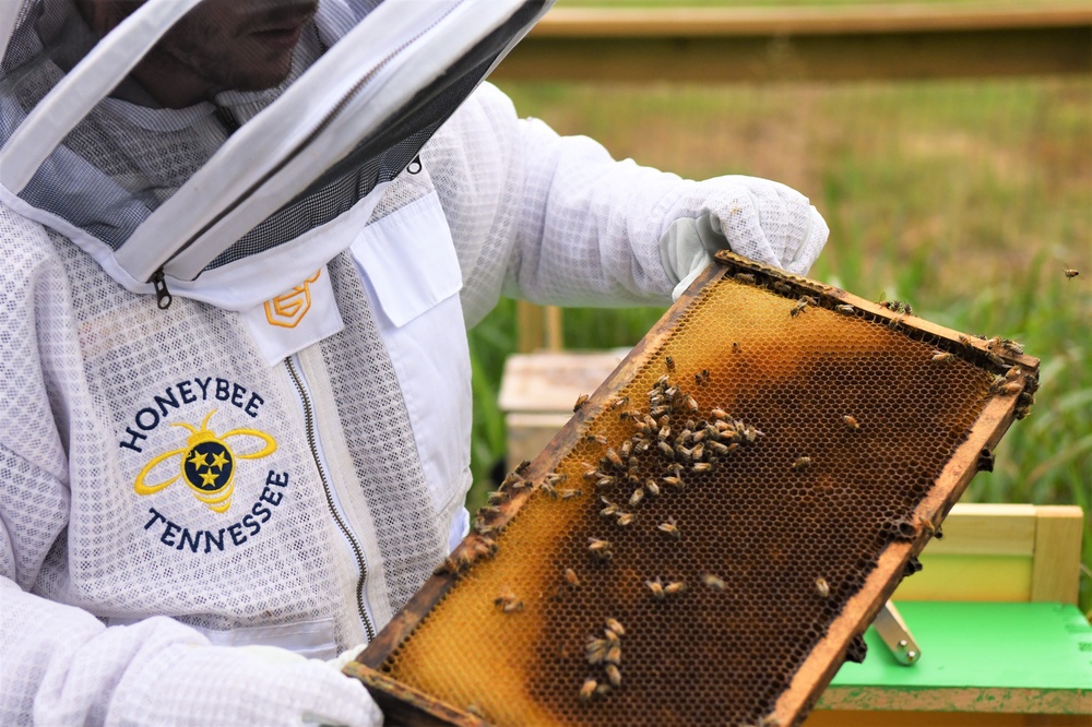 The buzz of Cordell Hull Lake: USACE’s new pollination effort