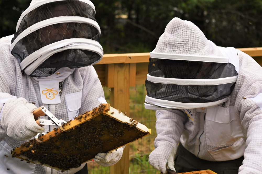 The buzz of Cordell Hull Lake: USACE’s new pollination effort