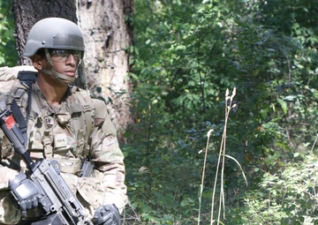 OCS Phase III STX