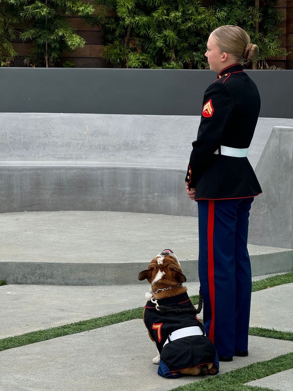 Mascot Monday at KUSI with Marine Band San Diego’s live performance