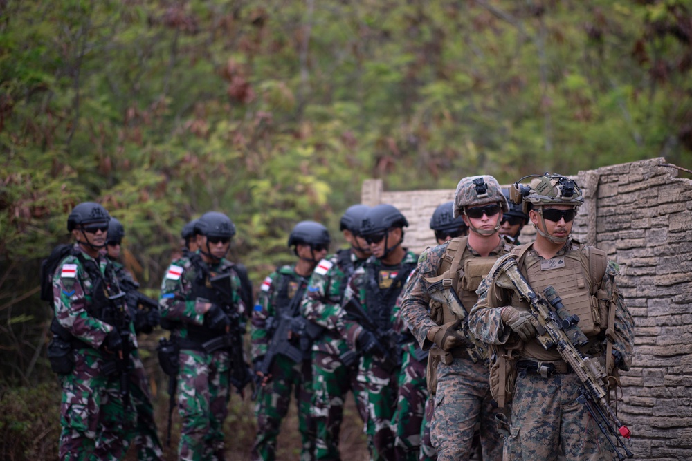 DVIDS - Images - U.S. Marines join Partner Nations for Air Assault ...