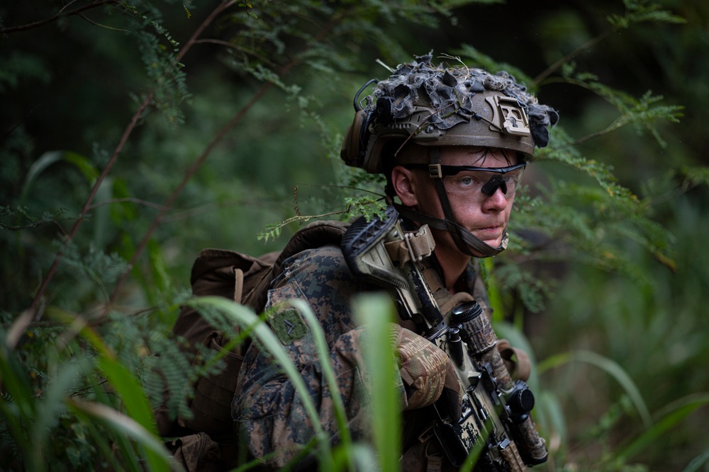 DVIDS - Images - U.S. Marines join Partner Nations for Air Assault ...