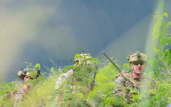 U.S. Marines, Partner Nations