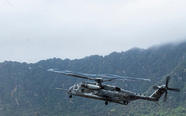 U.S. Marines, Partner Nations Conduct Air Assault Rehearsal