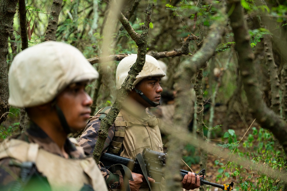 U.S. Marines, Partner Nations