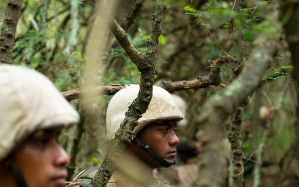 U.S. Marines, Partner Nations