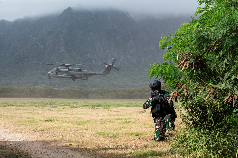 Air assault training during RIMPAC 2024