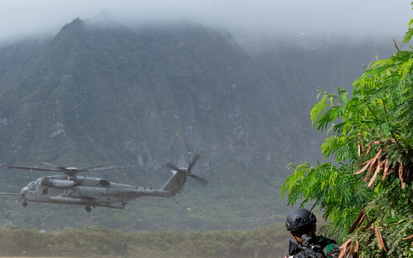 Air assault training during RIMPAC 2024