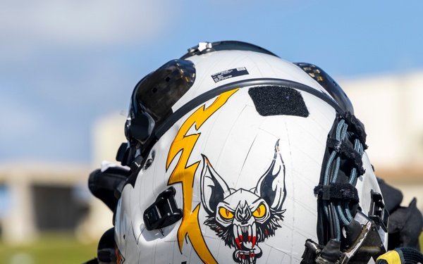 The Bats Say “Hello” from Kadena