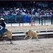 Cheyenne Frontier Days Rodeo