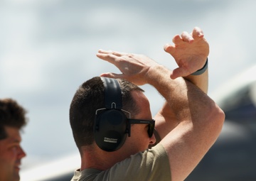 Caribbean Fox Arrival to St. Croix