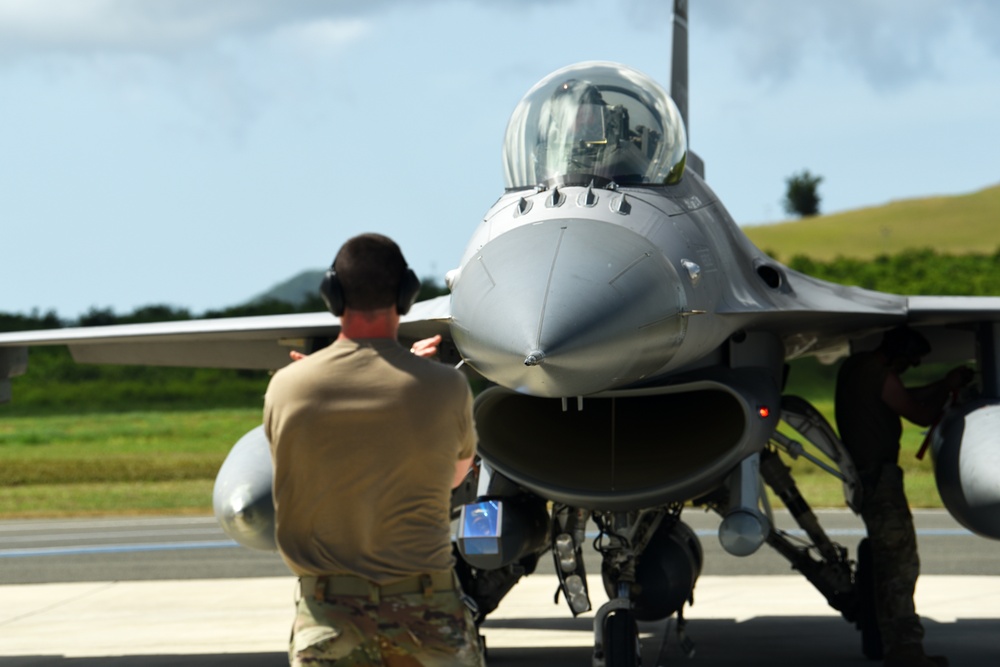 Caribbean Fox Arrival to St. Croix