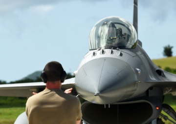 Caribbean Fox Arrival to St. Croix