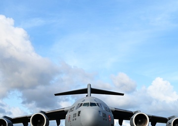 Caribbean Fox Arrival to St. Croix