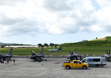 Caribbean Fox Arrival to St. Croix