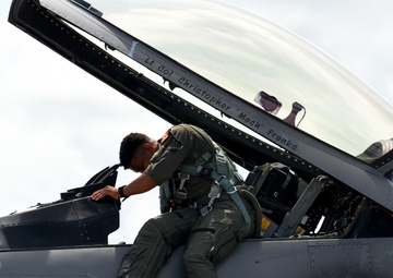 Caribbean Fox Arrival to St. Croix