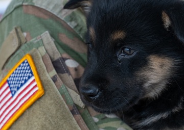 AR-MEDCOM Soldiers expand knowledge, compassion at Turtle Mountain IRT