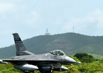 Caribbean Fox Take-Offs