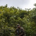 U.S. Marines Conduct Beach Landing During DSCA