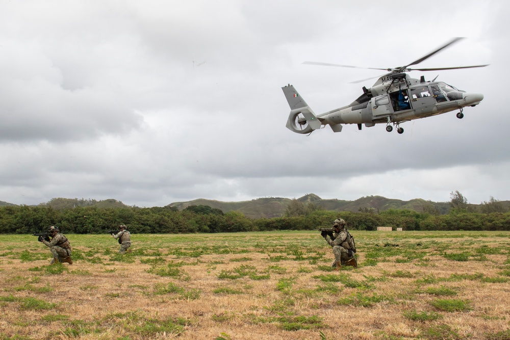 U.S. and Allied Partners Conduct Air Assault Rehearsal for RIMPAC 2024