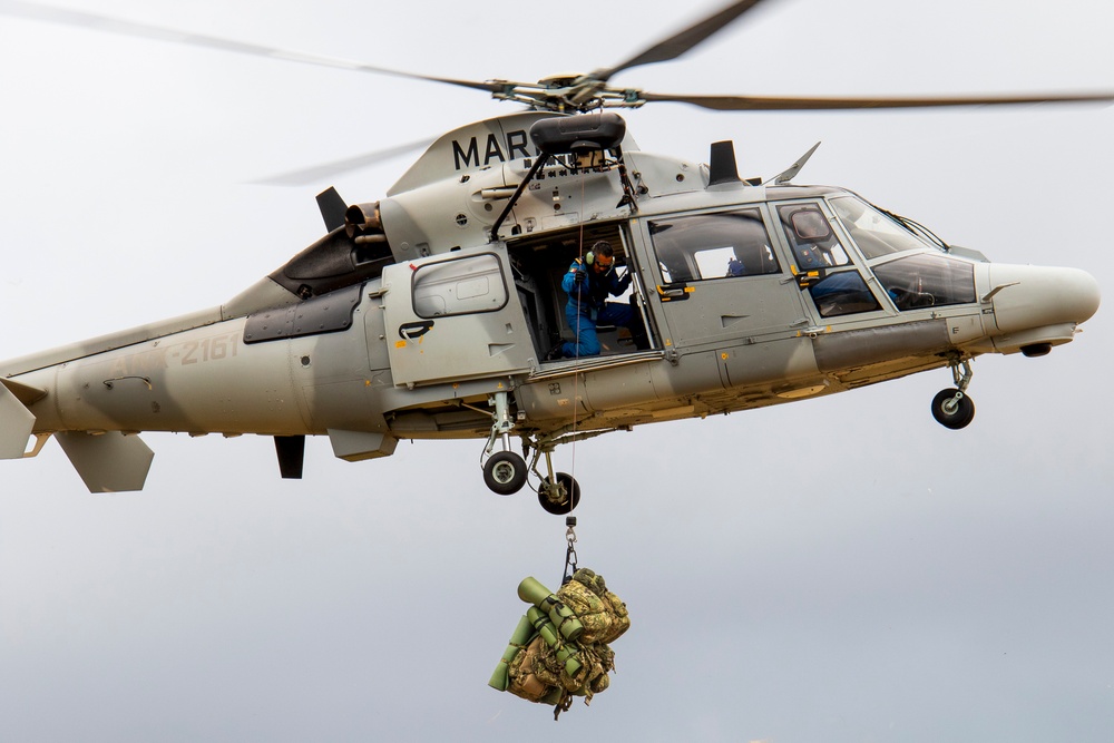 U.S. and Allied Partners Conduct Air Assault Rehearsal for RIMPAC 2024