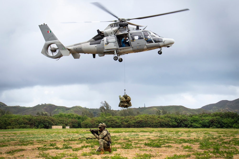 U.S., Allied Partners rehearse air assault during RIMPAC 2024