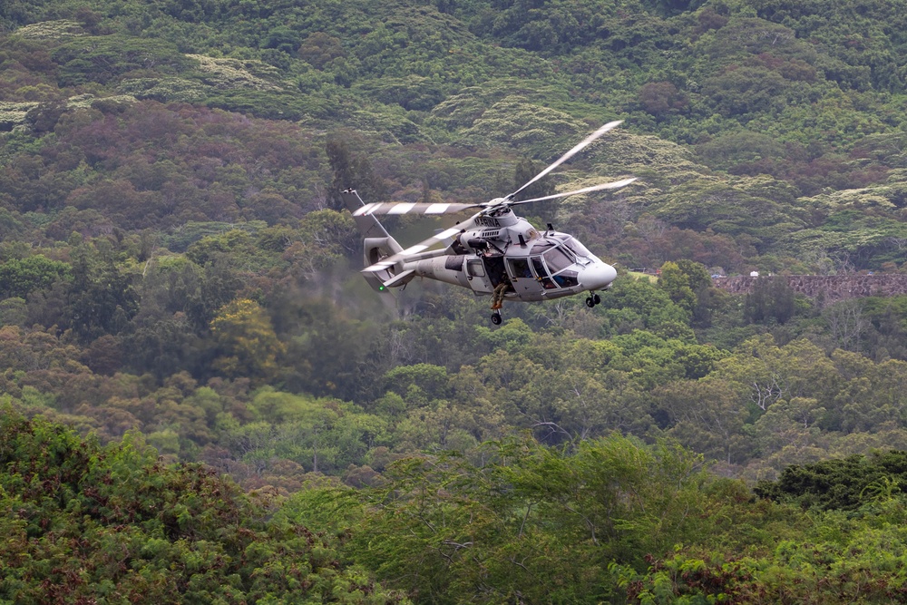 U.S. and Allied Partners Conduct Air Assault Rehearsal for RIMPAC 2024