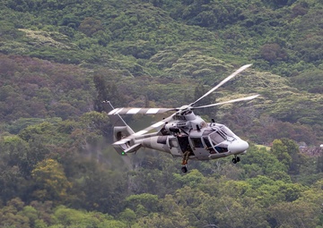 U.S. and Allied Partners Conduct Air Assault Rehearsal for RIMPAC 2024