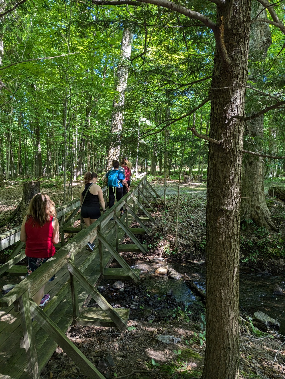 Fort Drum community members stroll the trails on a mindful journey