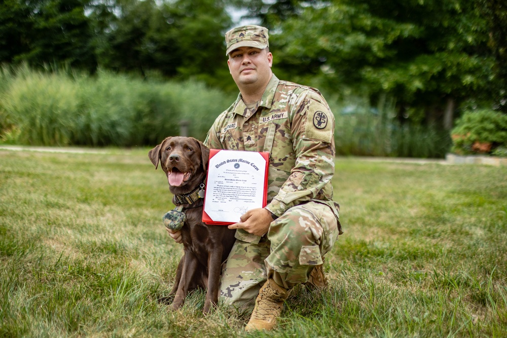 Walter Reed Facility Dog Gets Promotion