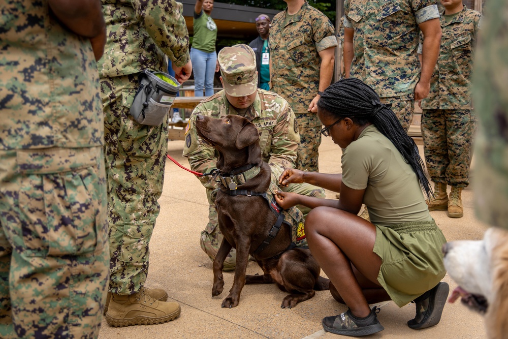 Walter Reed Facility Dog Gets Promotion