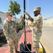 3rd Medical Command Soldiers conduct inspection