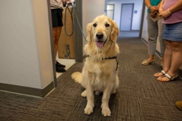 Therapy dog visits Joint Base Pearl Harbor-Hickam