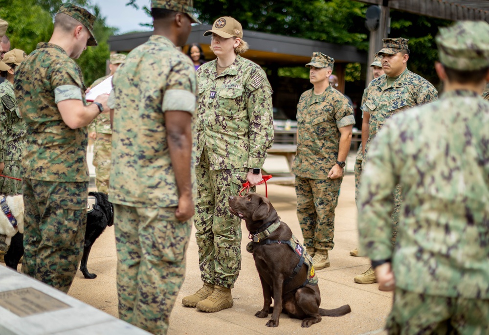 Walter Reed Facility Dog Gets Promotion