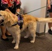 Therapy dog visits Joint Base Pearl Harbor-Hickam