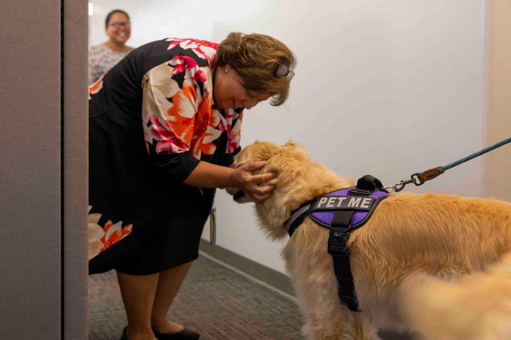 Therapy dog visits Joint Base Pearl Harbor-Hickam