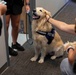 Therapy dog visits Joint Base Pearl Harbor-Hickam