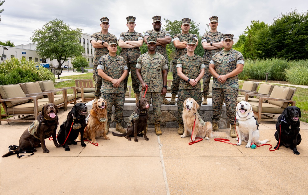 Walter Reed Facility Dog Gets Promotion