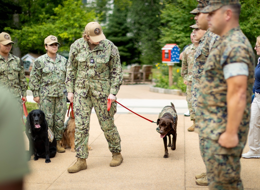 Walter Reed Facility Dog Gets Promotion