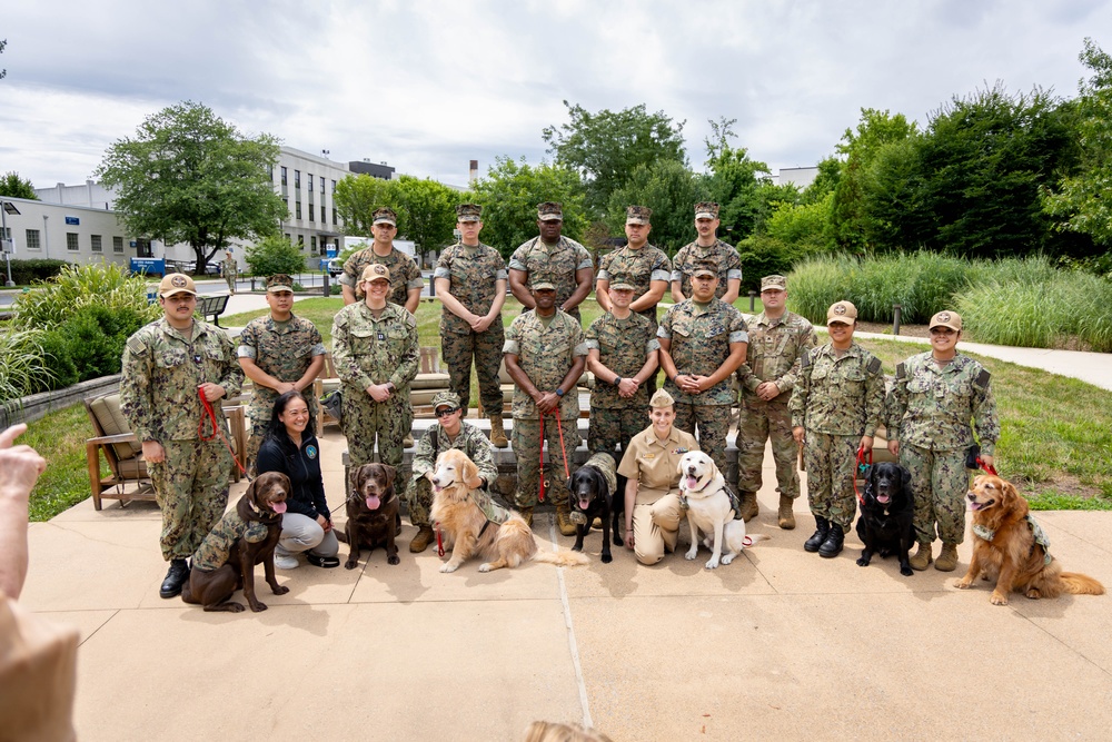 Walter Reed Facility Dog Gets Promotion