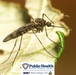 Take precautions against West Nile Virus