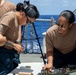 O’Kane Sailors prepare for small arms training