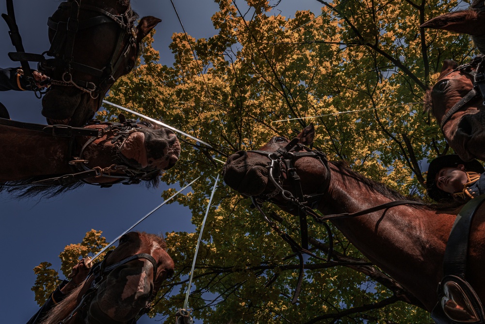 Big Red One Returns to Cheyenne Frontier Days