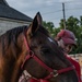 Big Red One Returns to Cheyenne Frontier Days