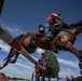 Big Red One Returns to Cheyenne Frontier Days