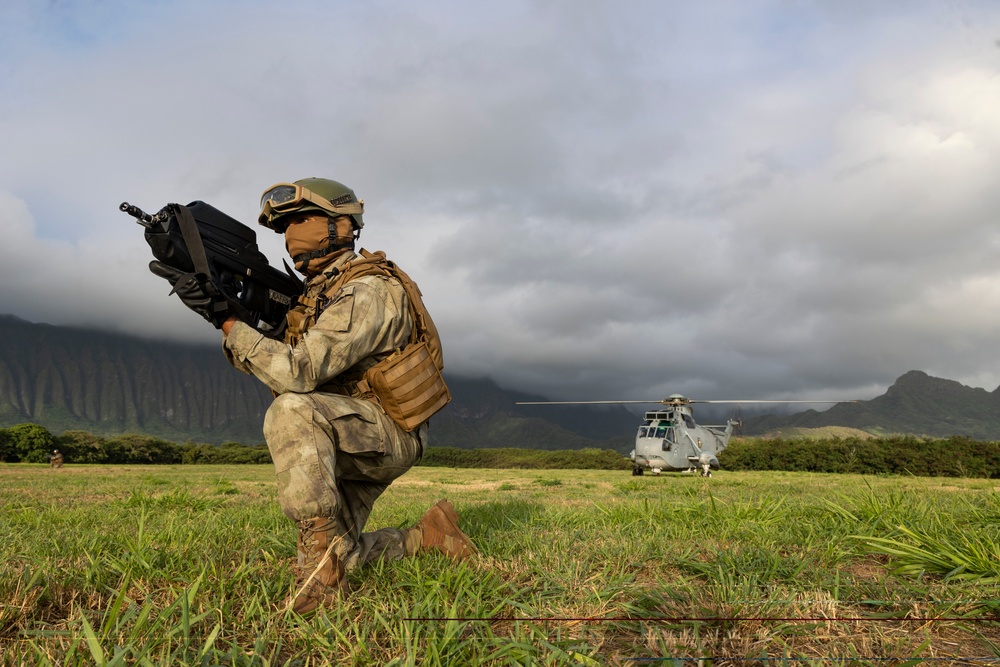 US Marines, partners rehearse amphibious exercise