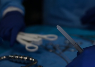 31st MEU Medical Drills