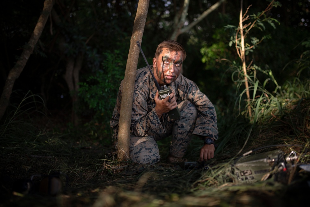 U.S. Marines, Partner Forces conduct Air Assault Exercise During RIMPAC