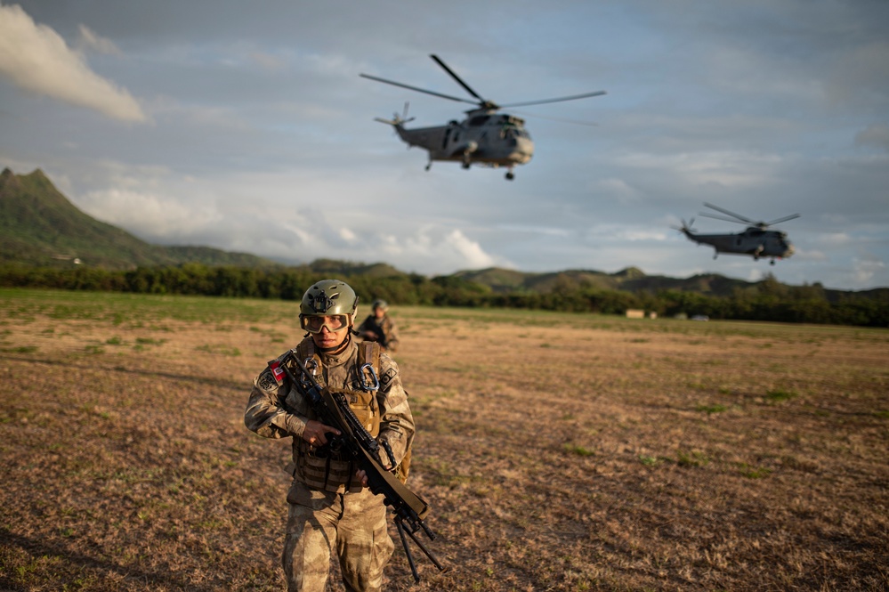 U.S. Marines, Partner Forces conduct Air Assault Exercise During RIMPAC