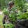 1-200th Infantry Regiment ‘jump’ to a more secure spot at JRTC 24-09